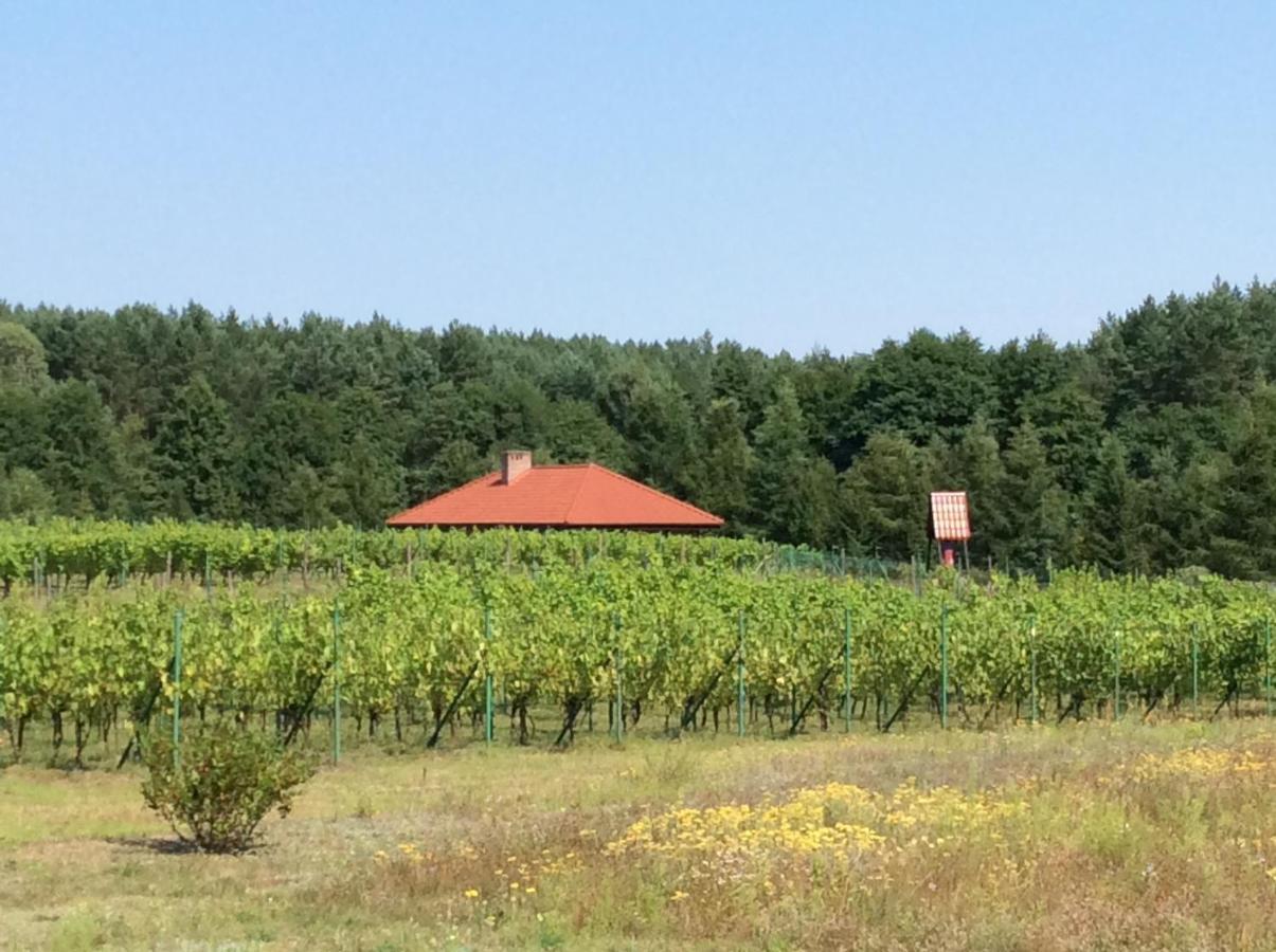 Winnica "Zabi Raj" Skarszewy Kültér fotó